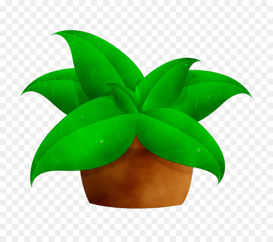 Las Plantas，Documento PNG