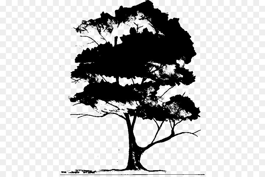 Silueta De Arbol，Planta PNG