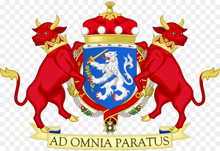 Escudo De Armas，Torse PNG