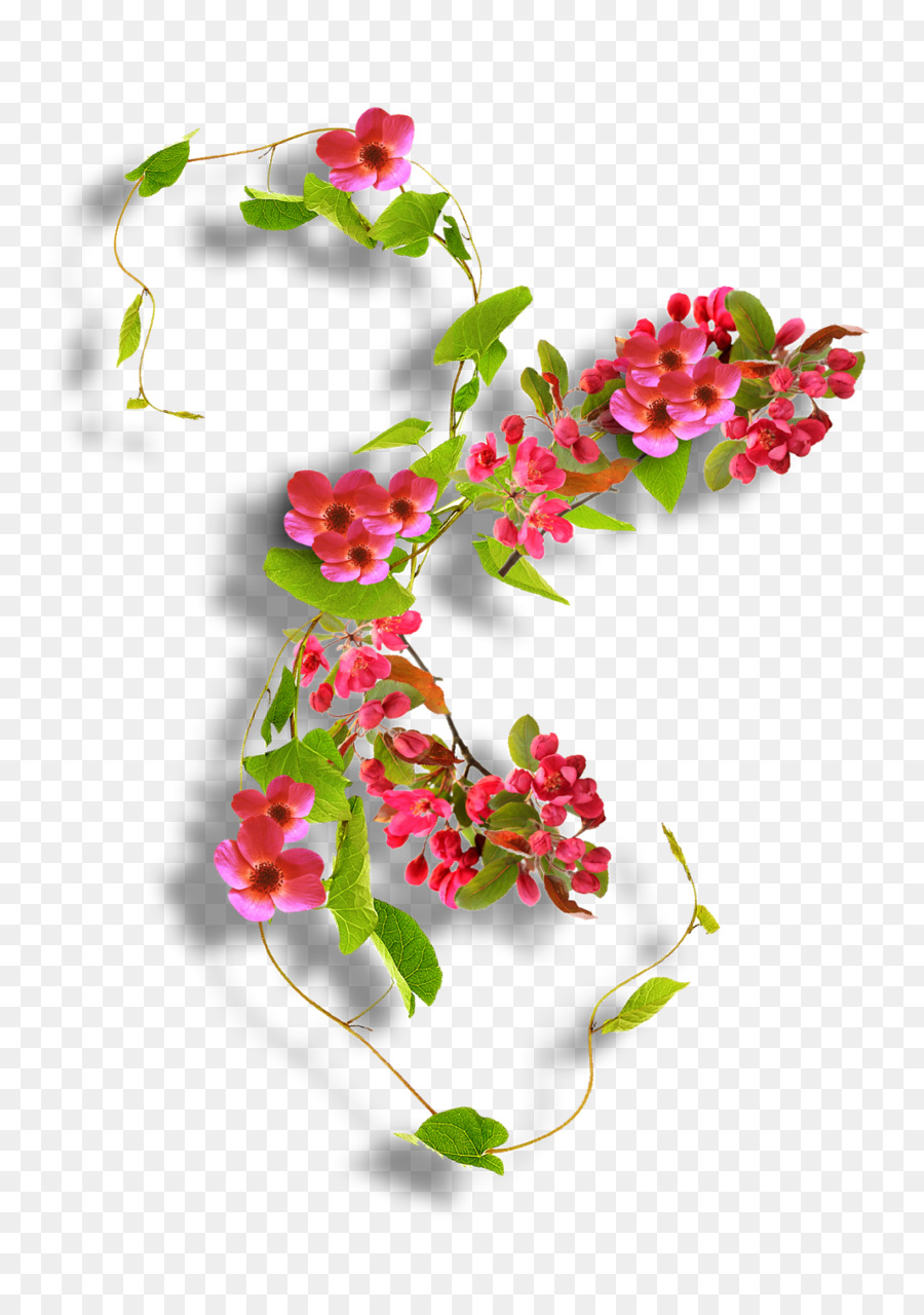 Diseño Floral，Flor PNG