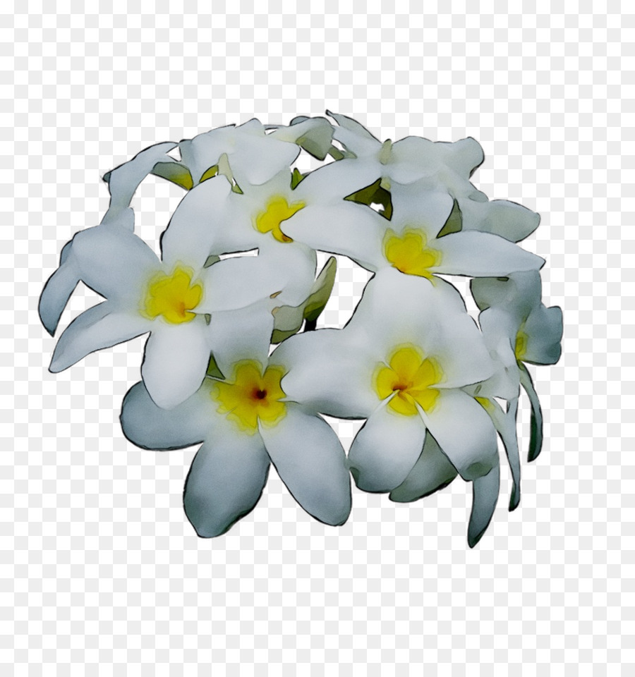 Cortar Flores，Flor PNG