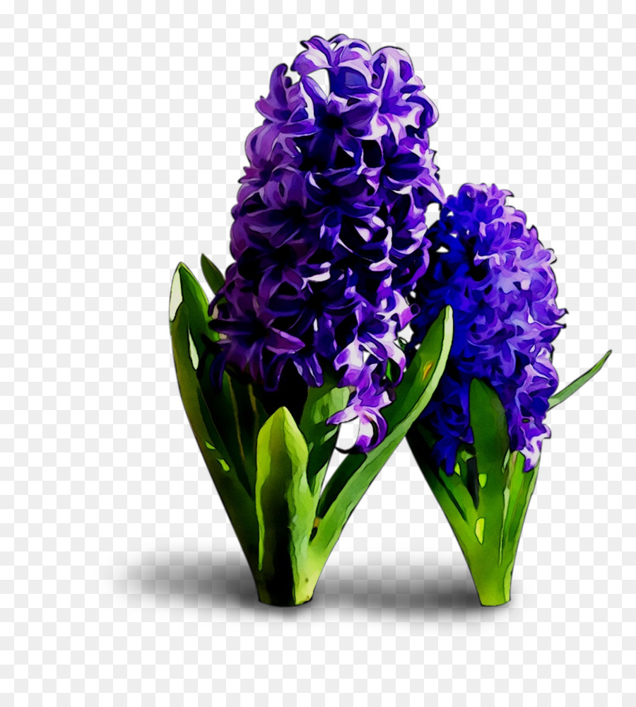 Flores Moradas，Florecer PNG