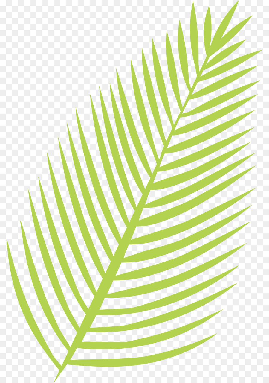 Hoja，Papel PNG