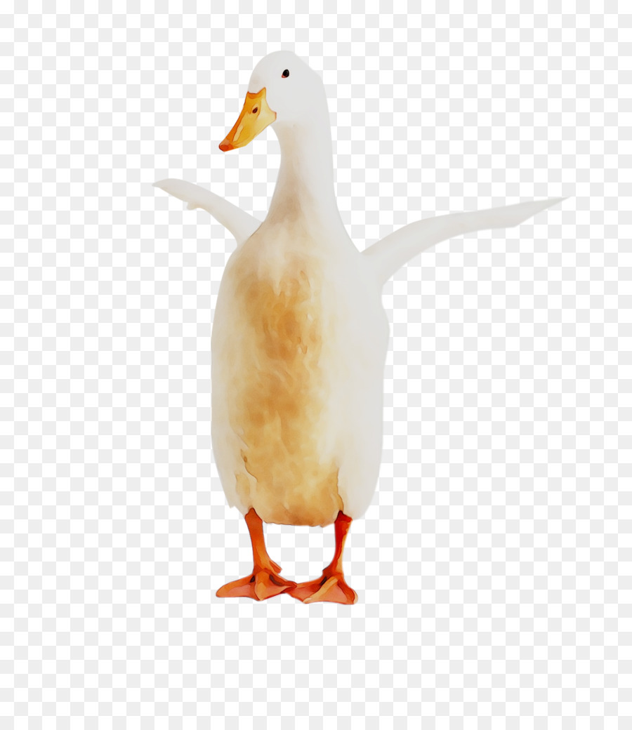 Pato，Ganso PNG