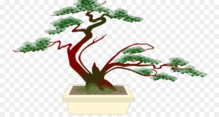 Bonsai，Bonsai Popular PNG