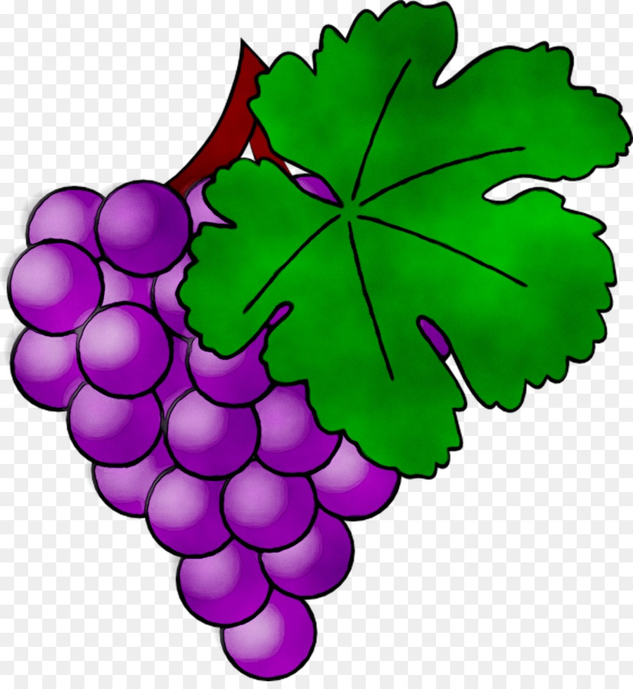 Uvas，Racimo PNG