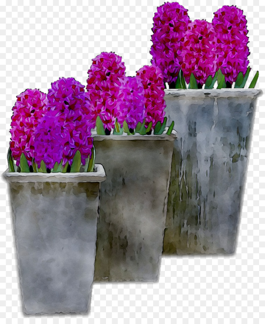 Lavanda，Maceta PNG