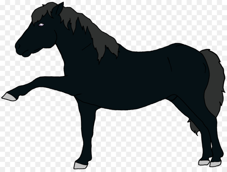 Pony，Una Fotografía De Stock PNG