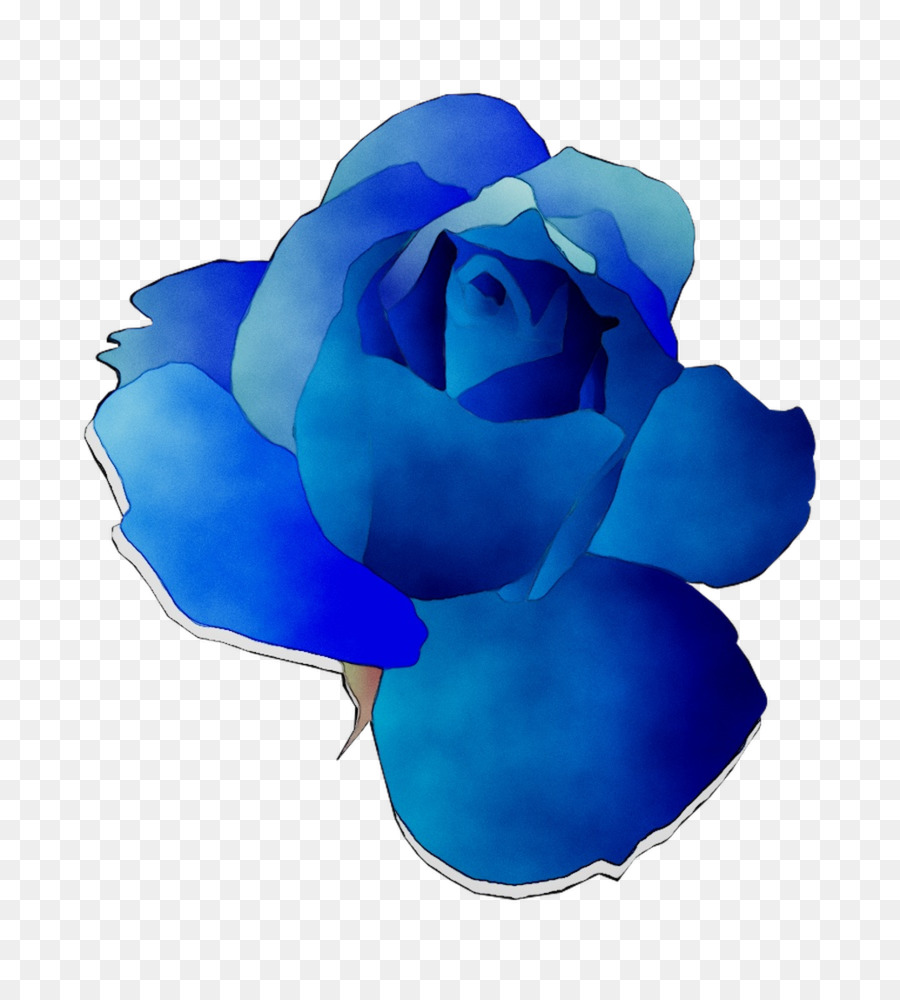 Rosa Azul，Las Rosas De Jardín PNG