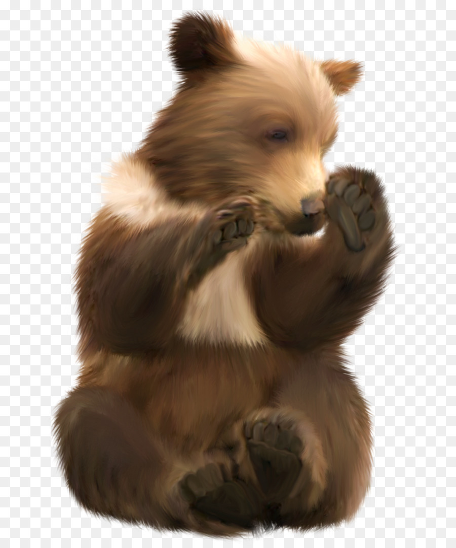 Oso Polar，Panda Gigante PNG