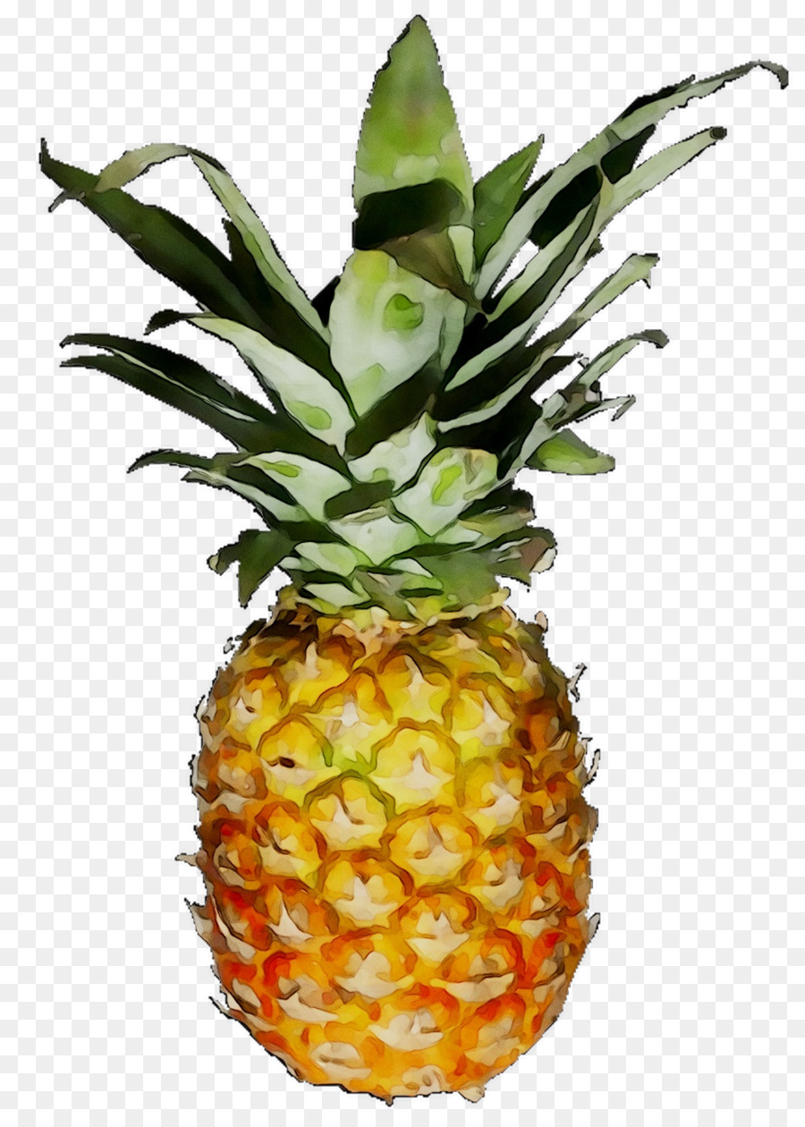 Piña Azul，Fruta PNG