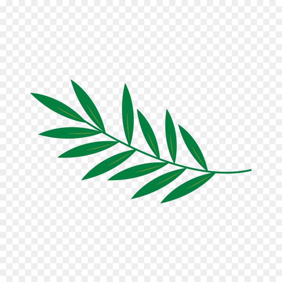 Hoja，Verde PNG