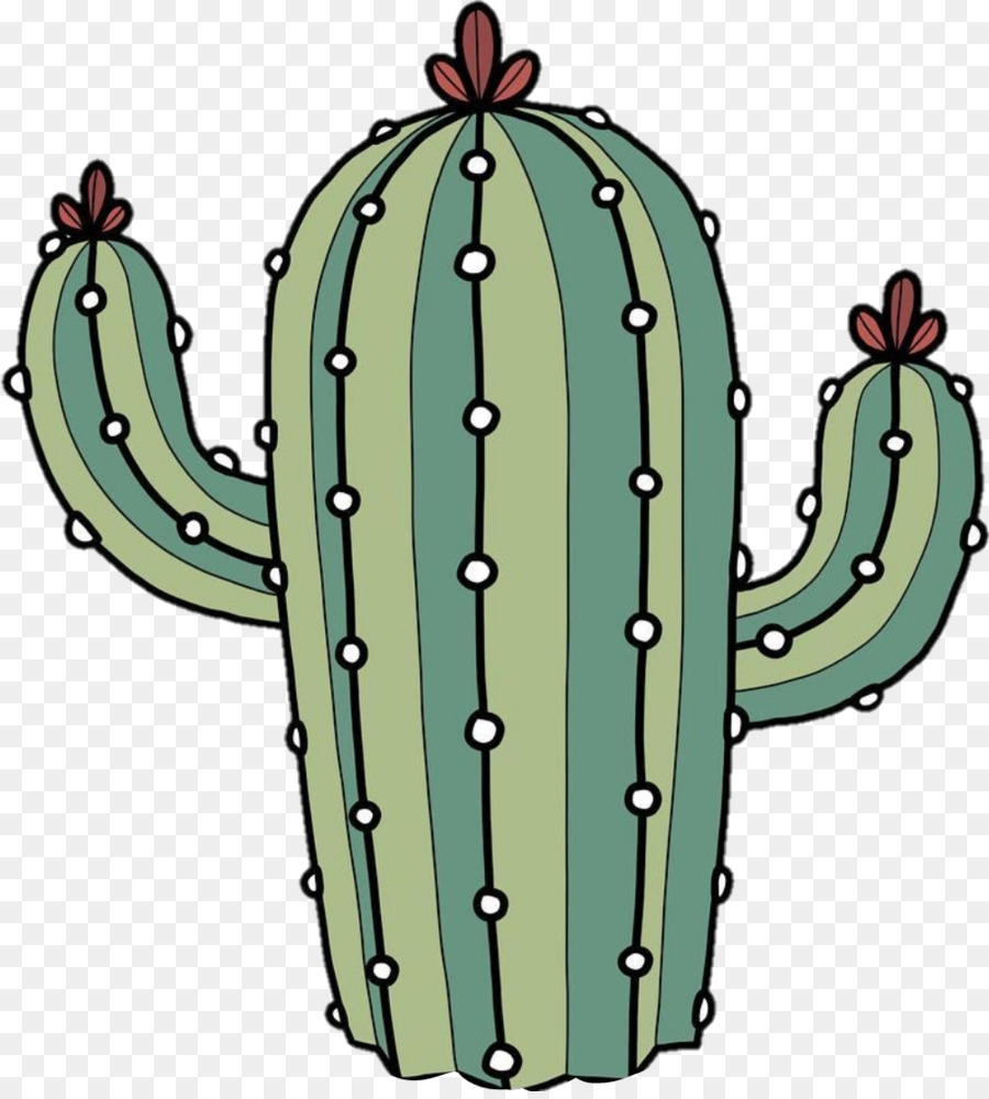 Cactus，Conejito De Orejas Cactus PNG