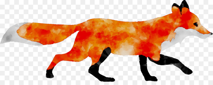 Zorro Rojo，Fox PNG