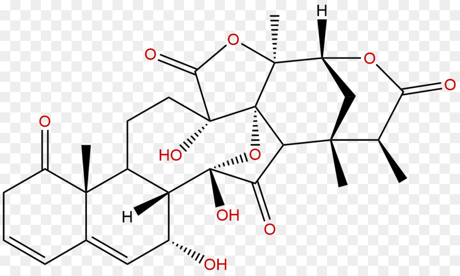 Estructura Química，Molécula PNG