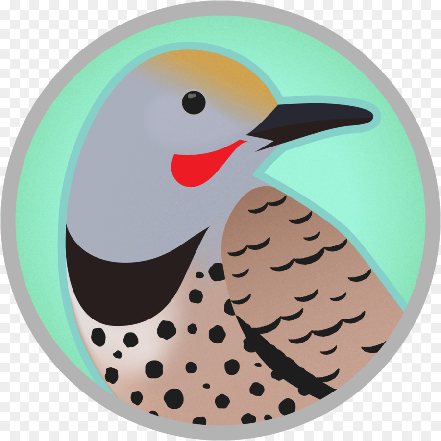 Woodpecker，Aves PNG