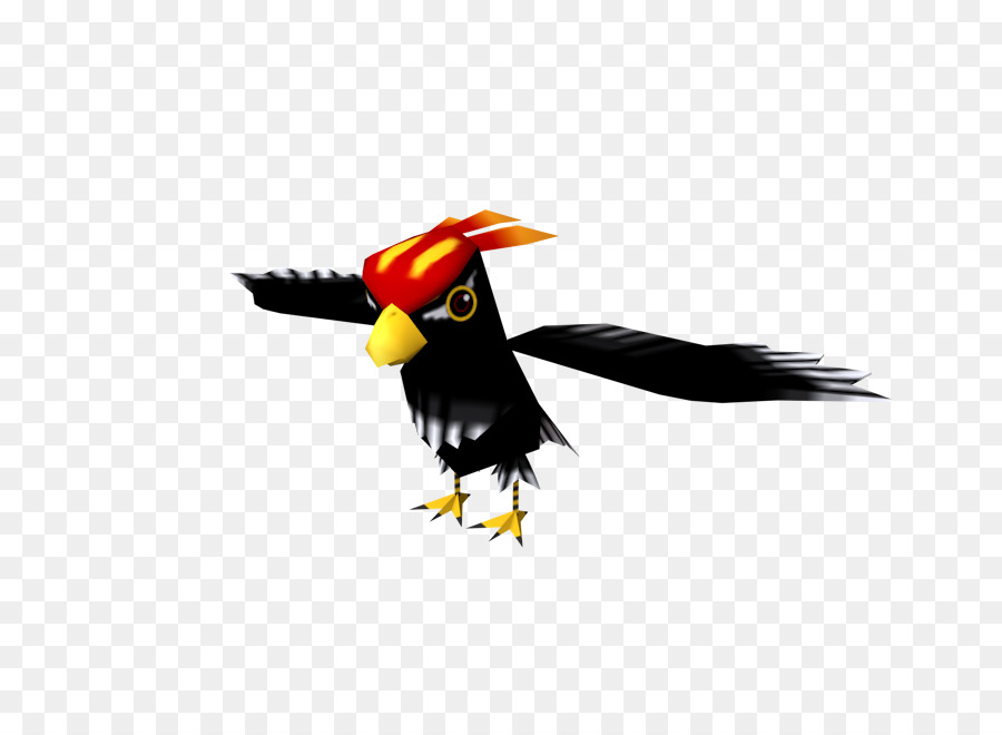 Tucán，Woodpecker PNG