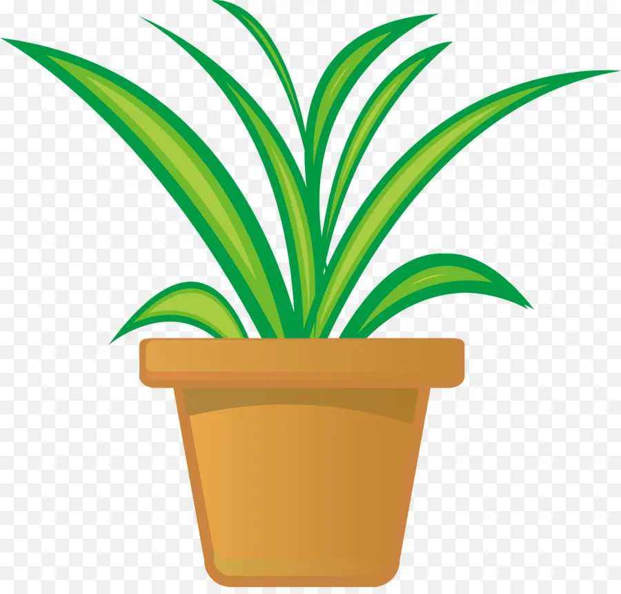 Planta De Interior，Maceta PNG