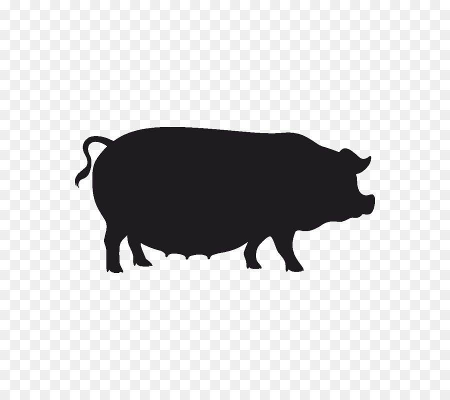 Cerdo，Tocino PNG