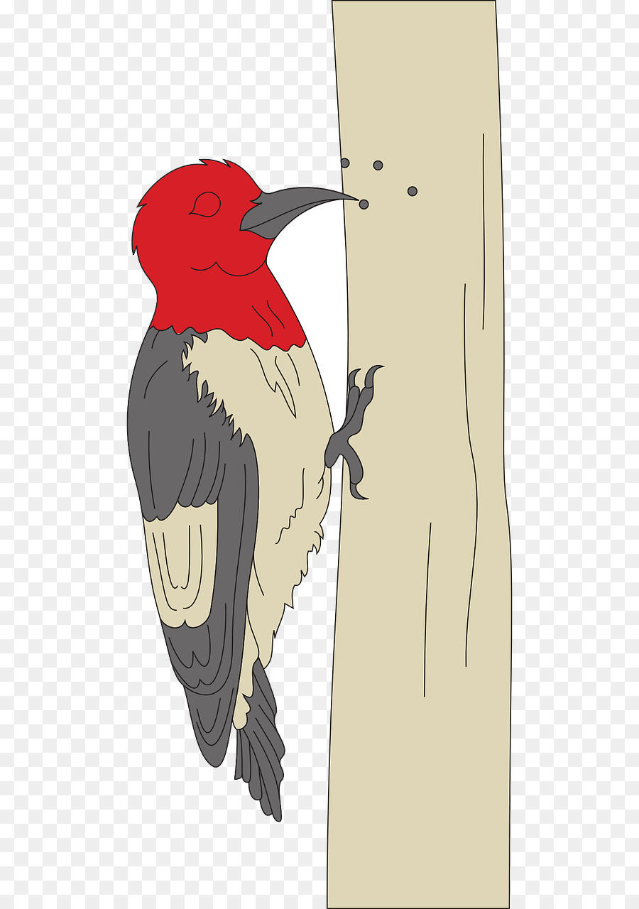 Woodpecker，Carpintero De Woody PNG