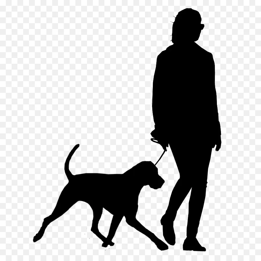 Raza De Perro，Cachorro PNG