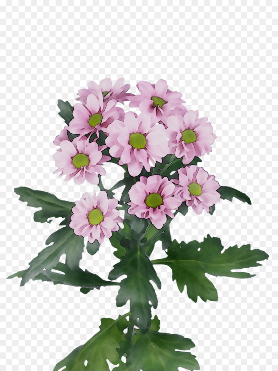 Flores Rosadas，Ramo PNG