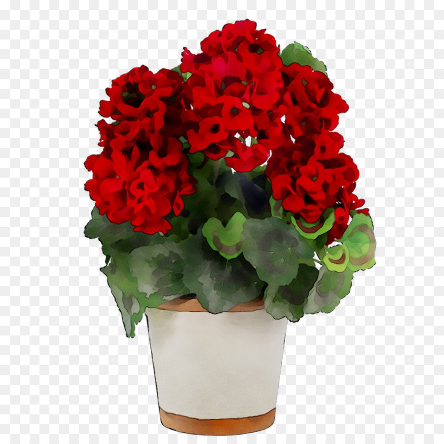 Diseño Floral，Flor PNG