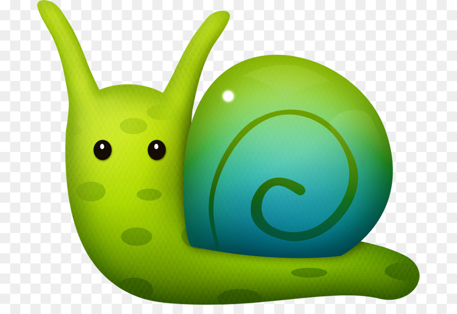 Caracol，Verde PNG