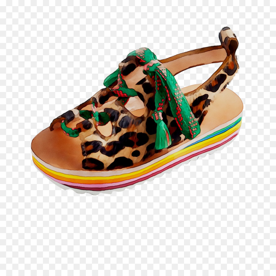 Zapato，Sandalia PNG