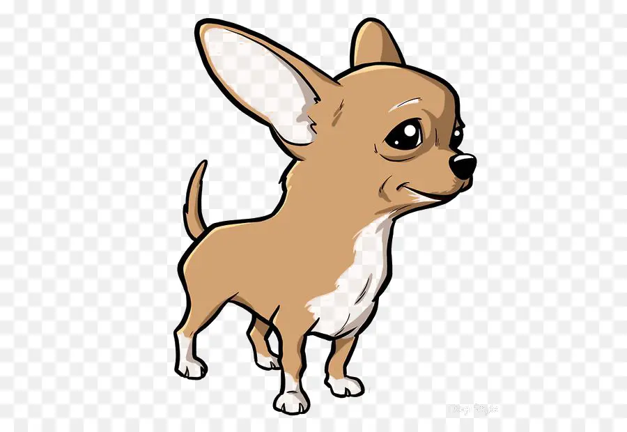 Chihuahua，Cachorro PNG