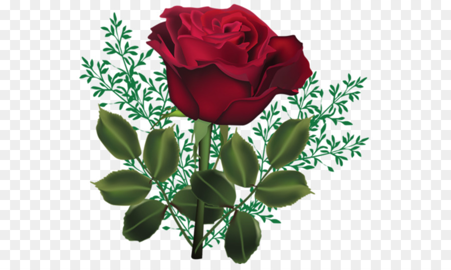 Rosa，Flor PNG