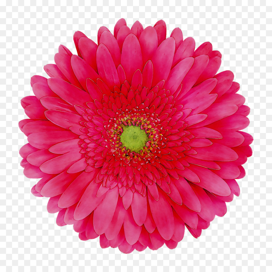 Flor，Flores De Color Rosa PNG