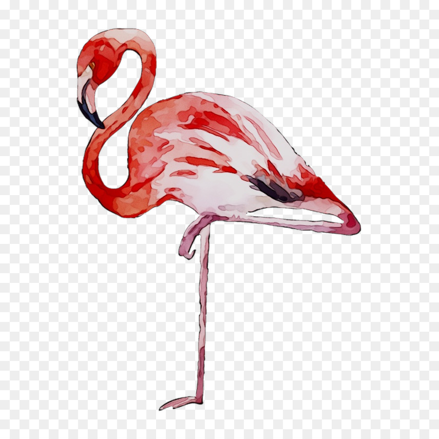 Pegatina，Flamingo PNG