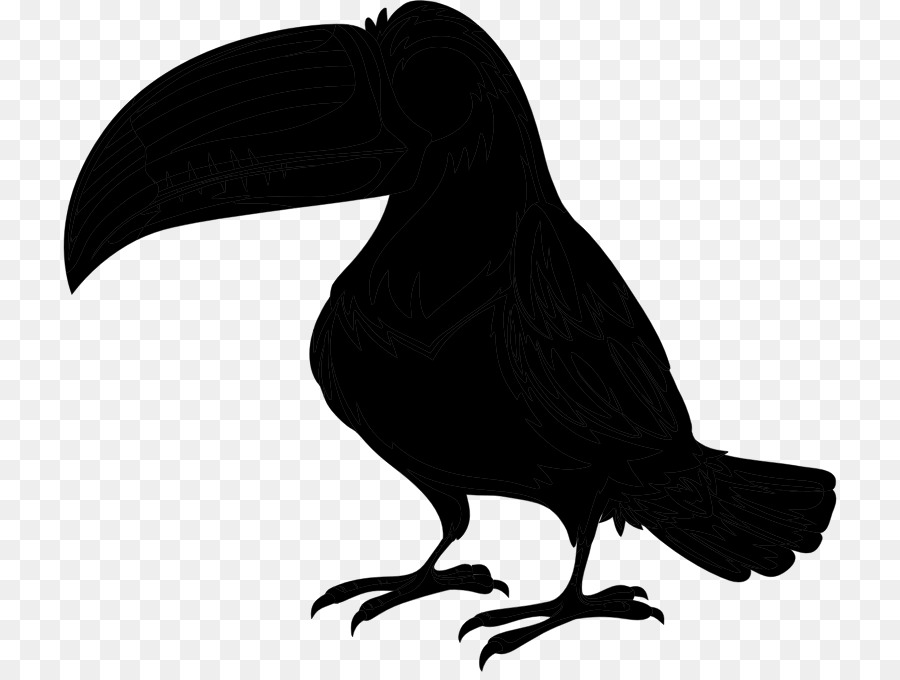 Aves，Loro PNG