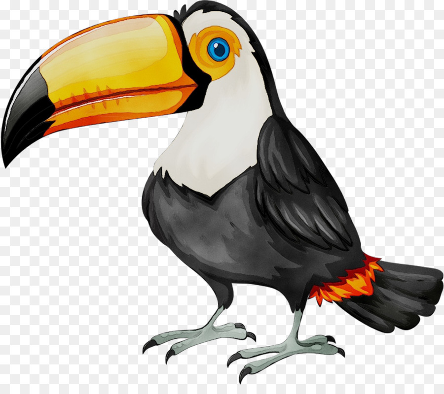 Pájaro De Dibujos Animados，Animal PNG