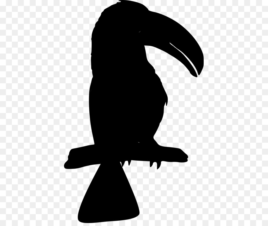 Pico，Aves PNG