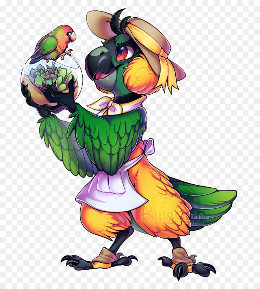 Aves，Loro PNG