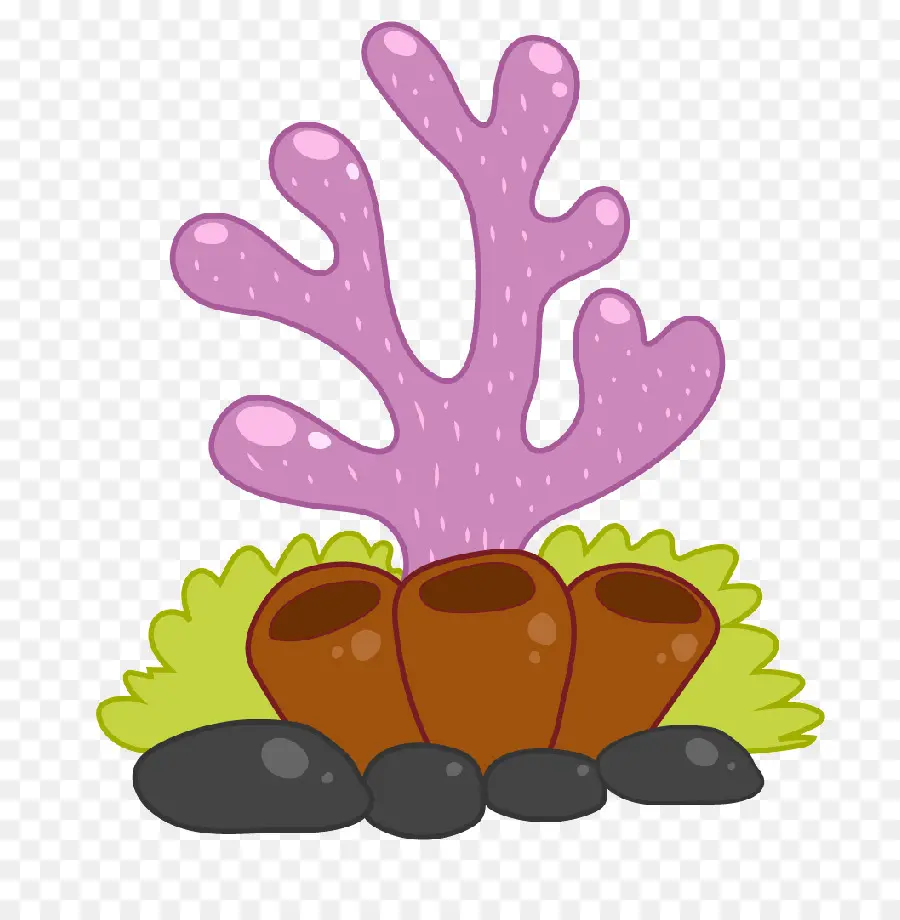 Coral，Rosa PNG