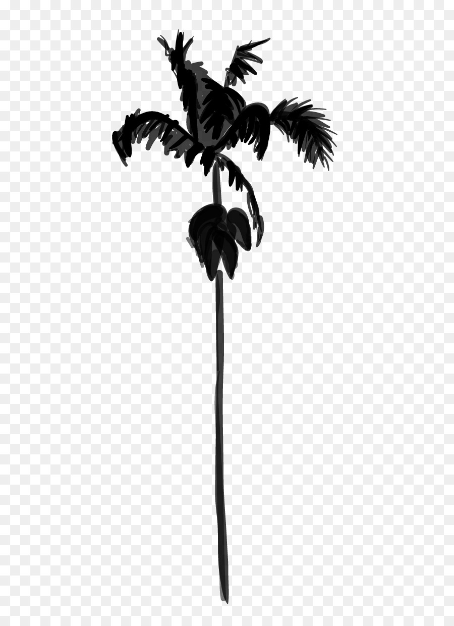 Los árboles De Palma，Negro Blanco M PNG