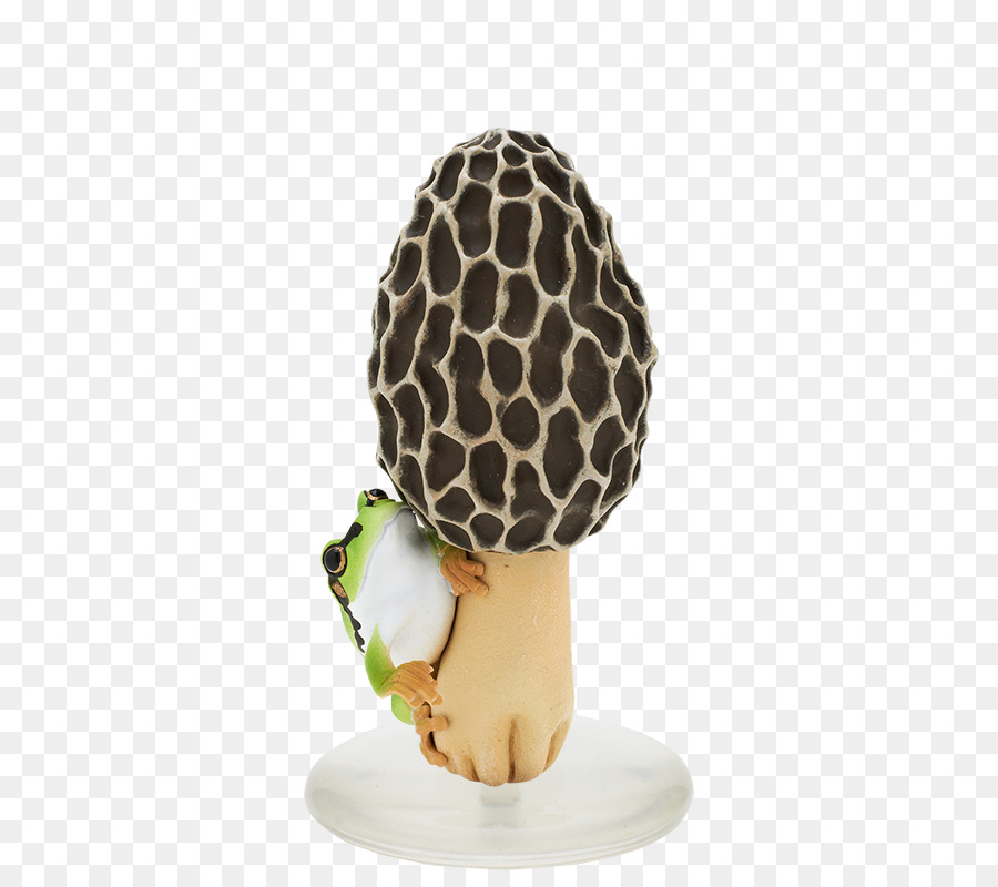 Amarillo Morel，Seta PNG