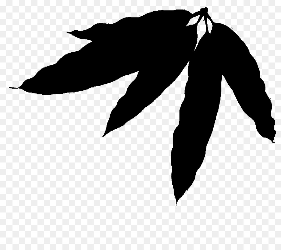 Hoja Negra，Planta PNG