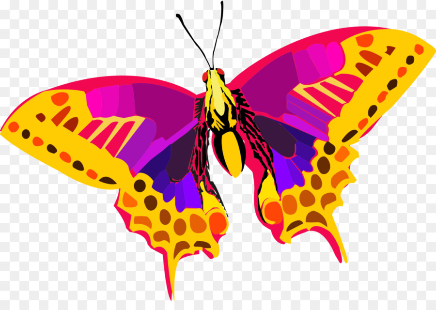 Mariposa，Fondo De Escritorio PNG