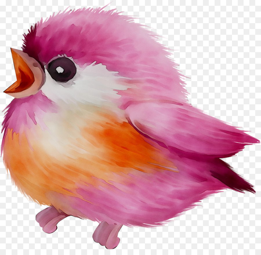 Pico，Pluma PNG