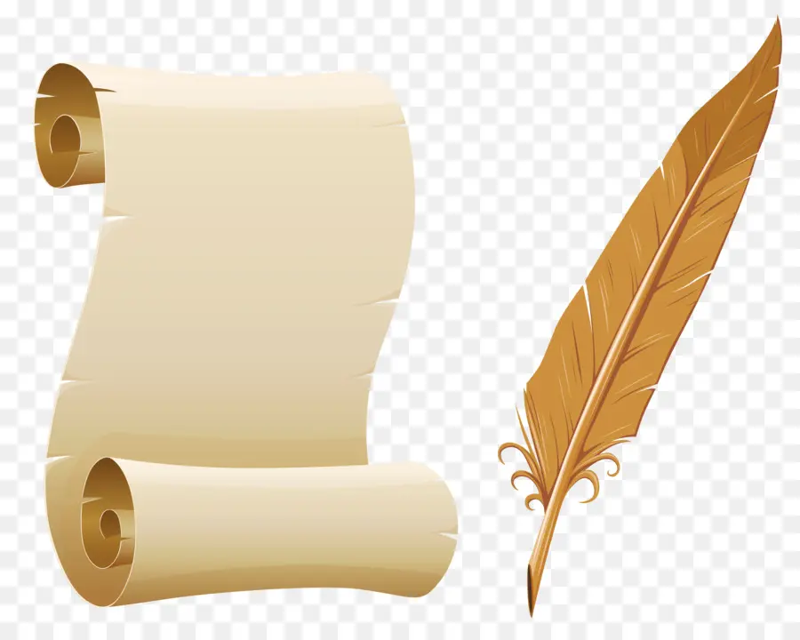 Pergamino Y Pluma，Papel PNG