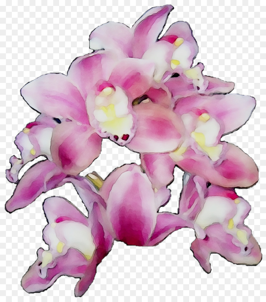 Flores De Orquídeas，Orquídea PNG