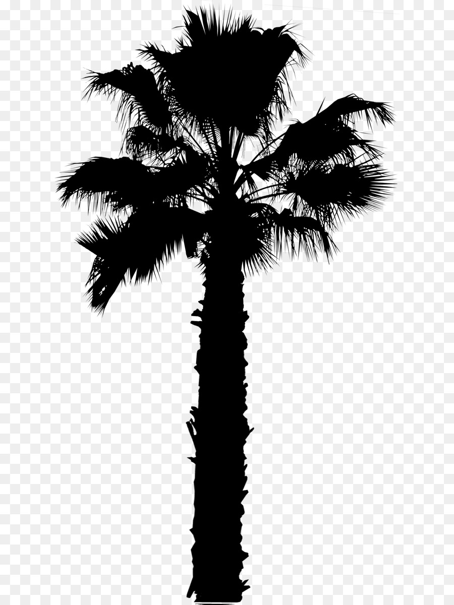 Asiático Palmira Palma，Los árboles De Palma PNG