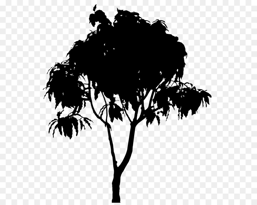 Árbol，Naturaleza PNG