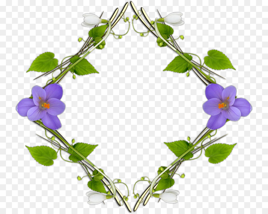 Bordes Y Marcos，Pansy PNG