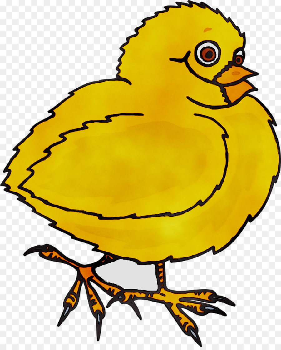 Pollo，Las Aves PNG