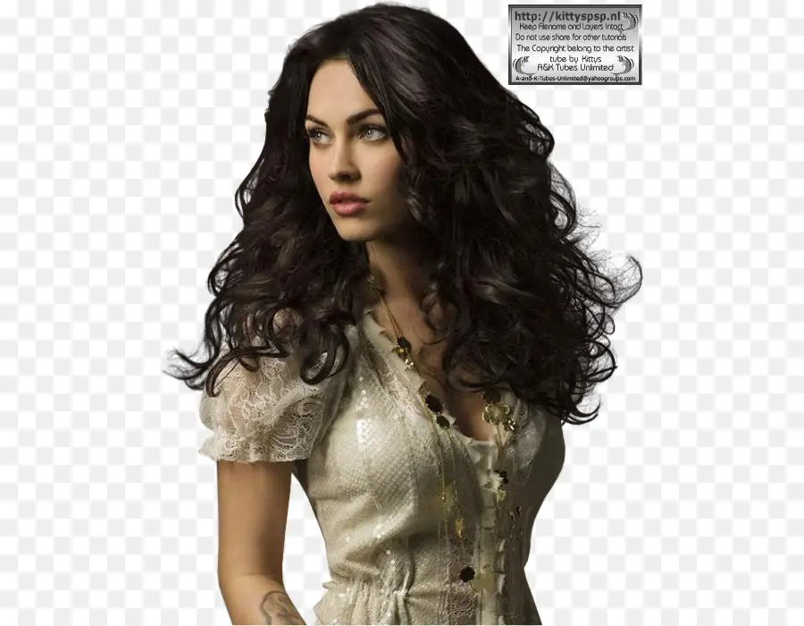 Megan Fox，Jennifers Body PNG